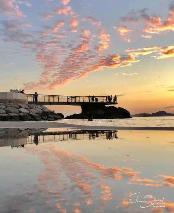 Plage Des Catalans/Vieux Port Marseilles Buitenkant foto